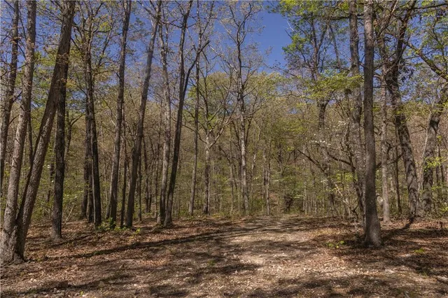 $399,900 | 27064 Hickory Tree Lane, Lincoln, MO 65338