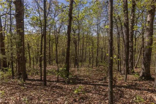 $399,900 | 27064 Hickory Tree Lane, Lincoln, MO 65338