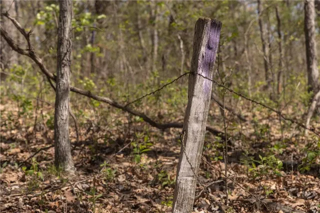 $399,900 | 27064 Hickory Tree Lane, Lincoln, MO 65338