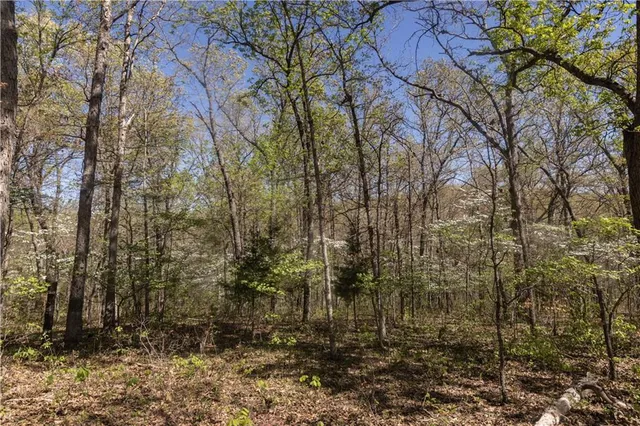 $399,900 | 27064 Hickory Tree Lane, Lincoln, MO 65338