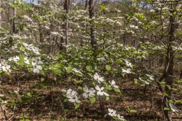 $399,900 | 27064 Hickory Tree Lane, Lincoln, MO 65338