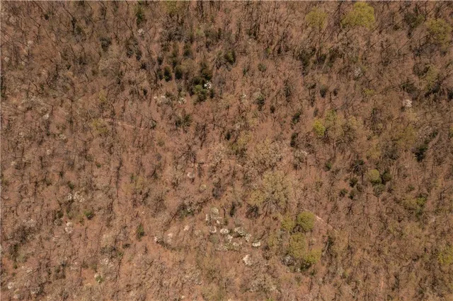 $399,900 | 27064 Hickory Tree Lane, Lincoln, MO 65338