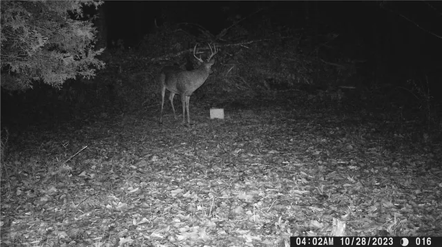 $399,900 | 27064 Hickory Tree Lane, Lincoln, MO 65338