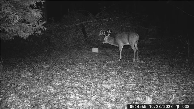 $399,900 | 27064 Hickory Tree Lane, Lincoln, MO 65338