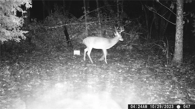 $399,900 | 27064 Hickory Tree Lane, Lincoln, MO 65338