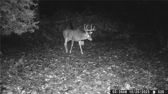 $399,900 | 27064 Hickory Tree Lane, Lincoln, MO 65338