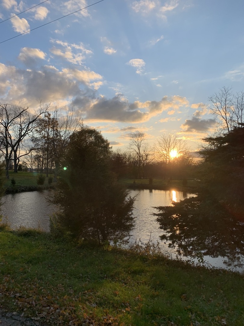 37W793 Binnie Road, Unit 1 Dundee, IL 60118 - Photo 20 of 23 a view of outside space yard and mountain view