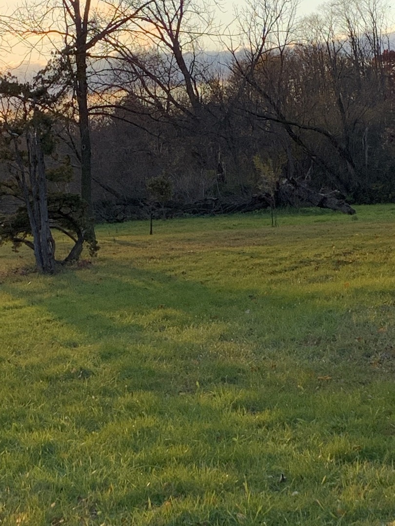 37W793 Binnie Road, Unit 1 Dundee, IL 60118 - Photo 21 of 23 a view of a field of grass and trees