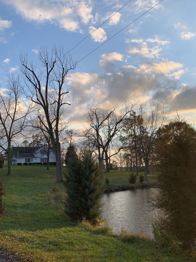 37W793 Binnie Road, Unit 1 Dundee, IL 60118 - Photo 23 of 23 a view of a lake in between of the house