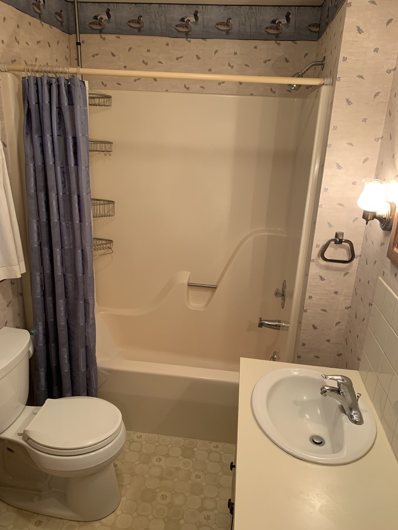 37W793 Binnie Road, Unit 1 Dundee, IL 60118 - Photo 9 of 23 a bathroom with a sink toilet and shower