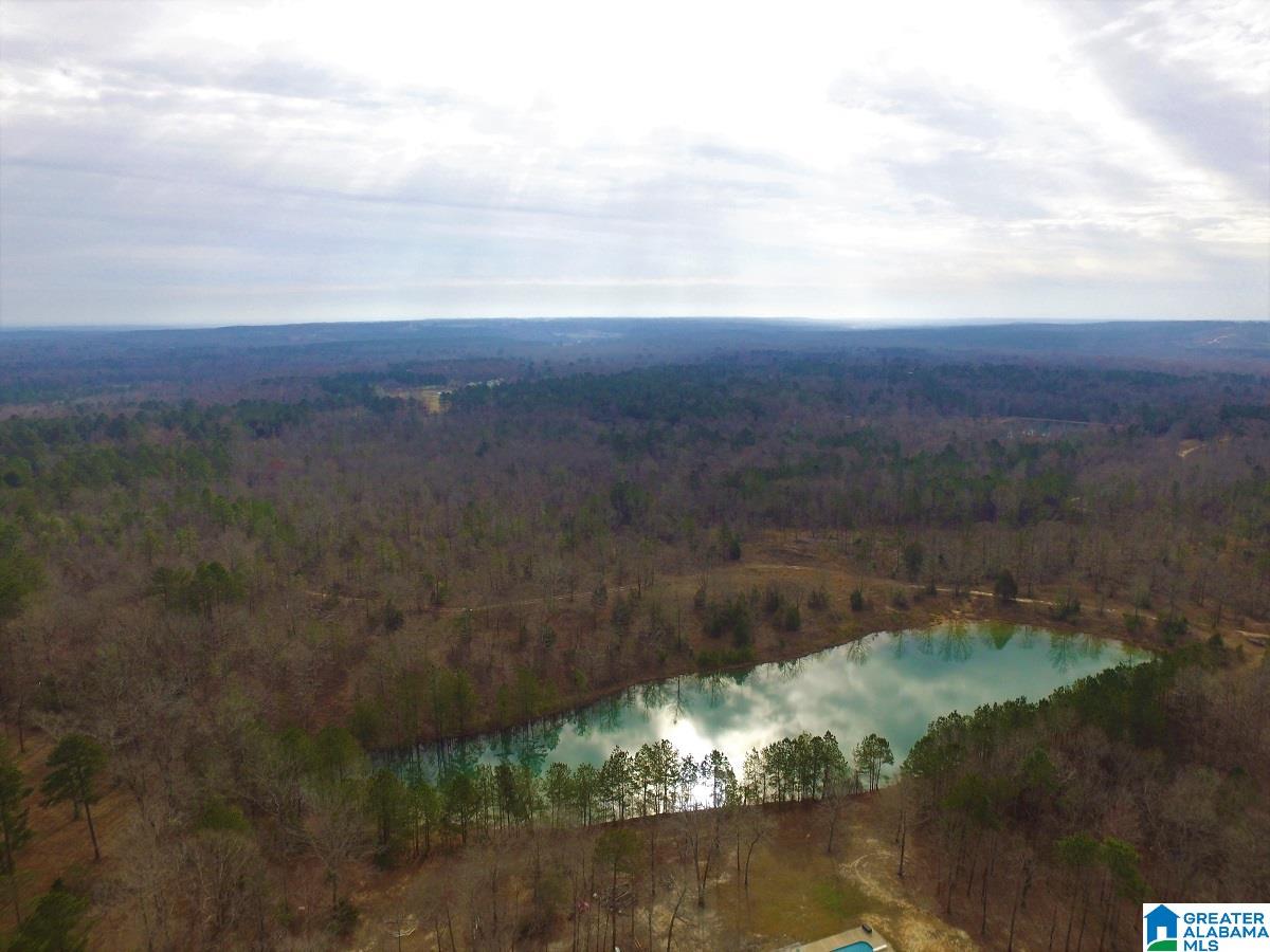 0 Melissa Robyn Road, Unit 1 Deatsville, AL 36022 - Photo 23 of 29