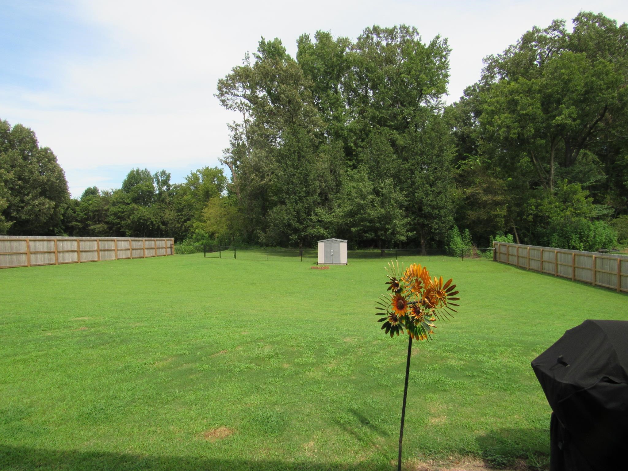 498 McQuiston Road Brighton, TN 38011 - Photo 12 of 17 a view of a garden with a lake