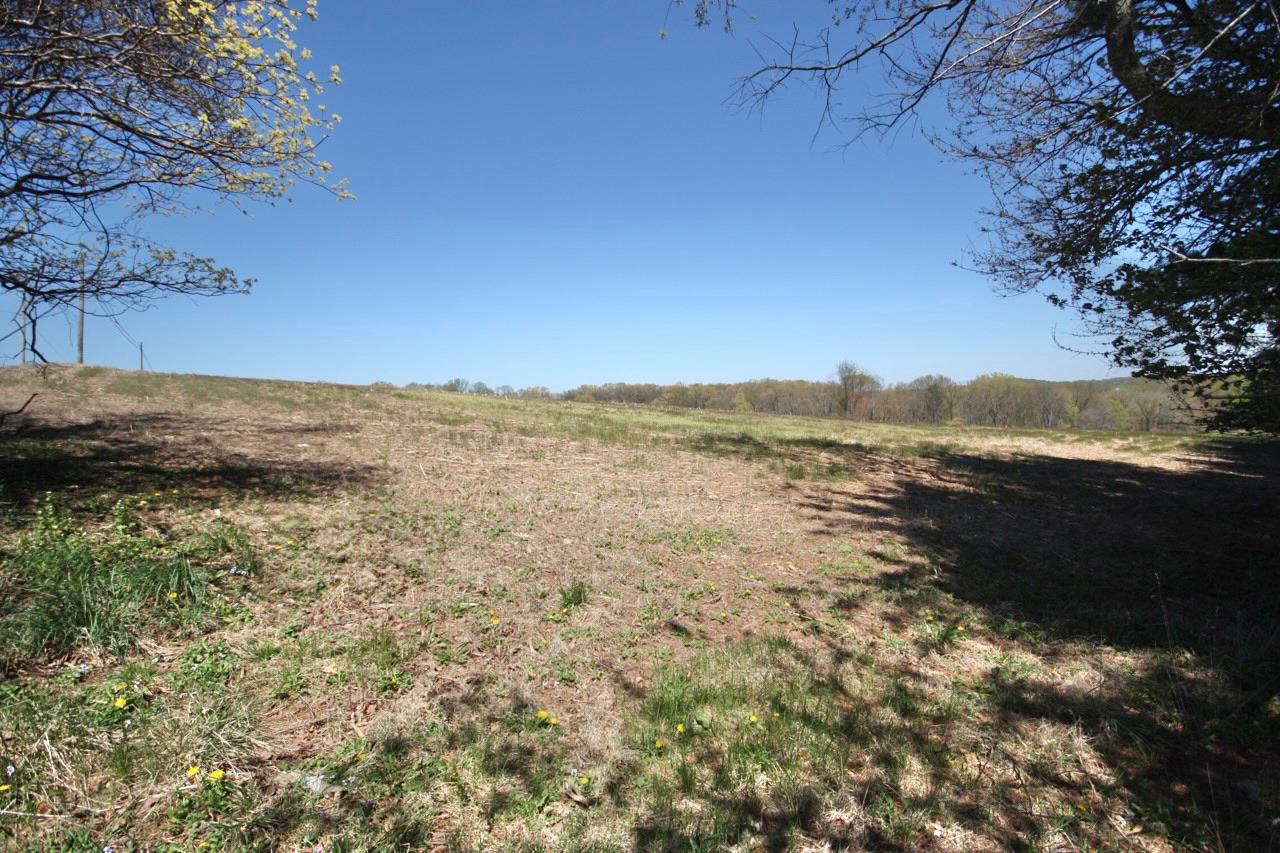 Prices Distillery Road Clarksburg, MD 20871 - Photo 4 of 6 Corner of Lot (South)