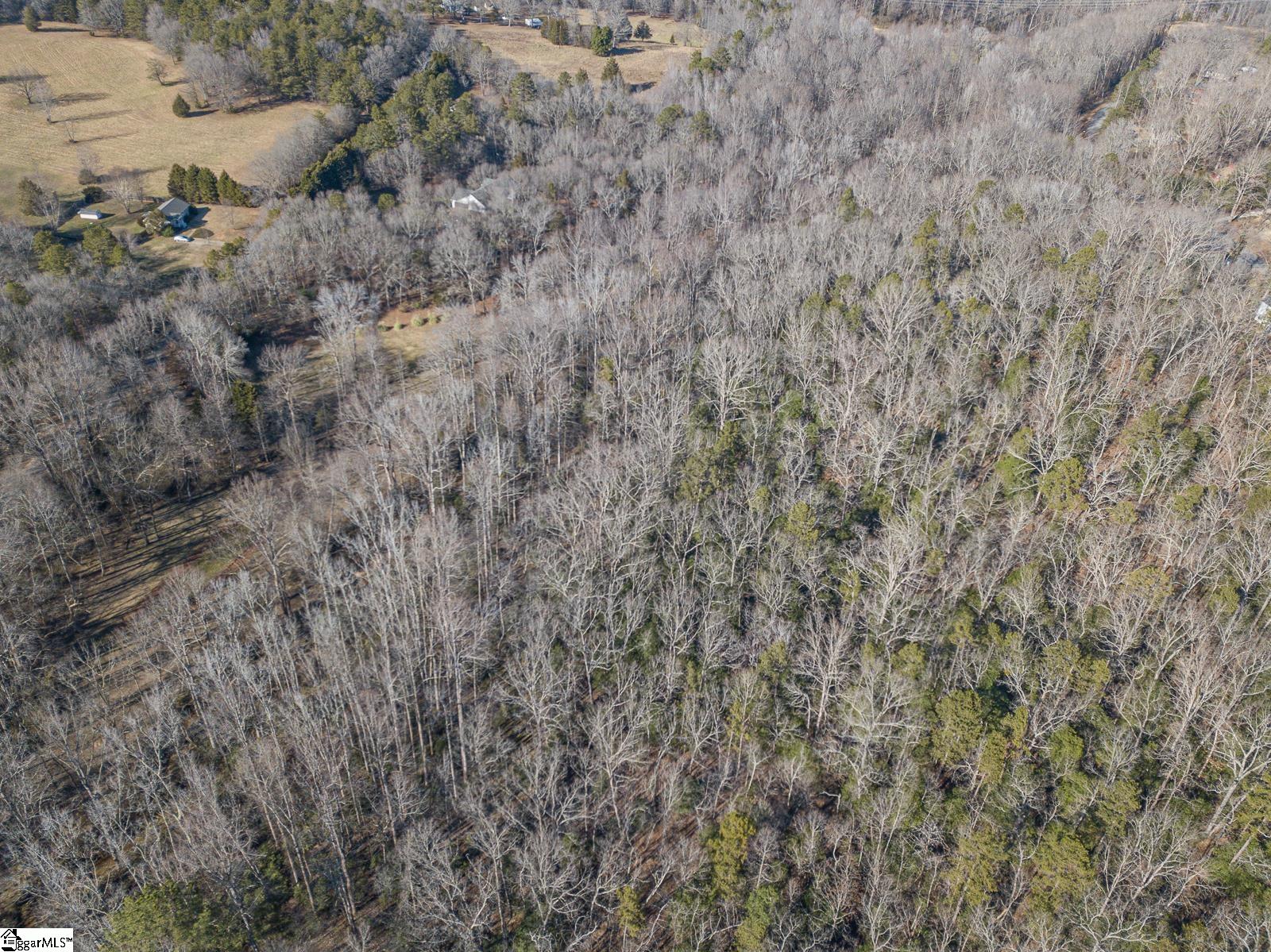 740 Bryant Road Pelzer, SC 29669 - Photo 34 of 36