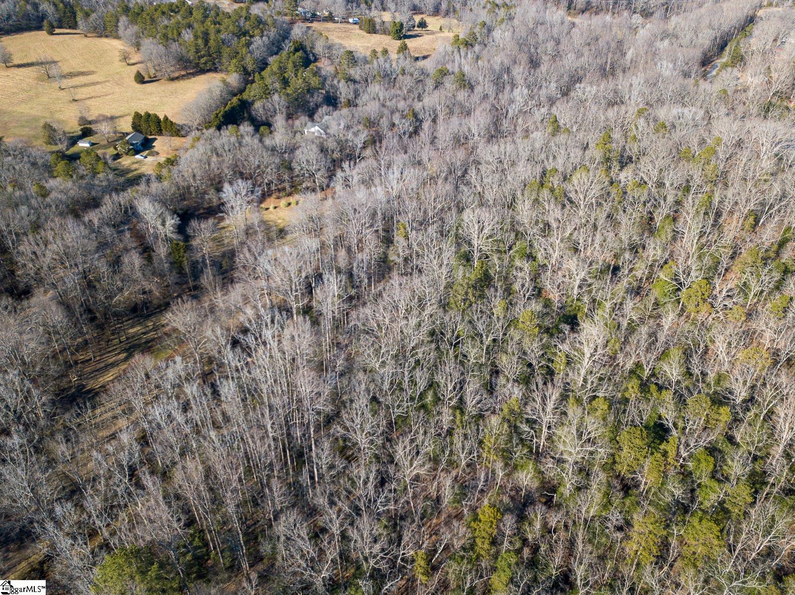 740 Bryant Road Pelzer, SC 29669 - Photo 35 of 36