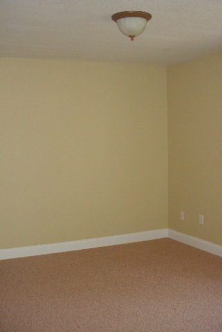 106 Pack Ridge Road Taylors, SC 29687 - Photo 4 of 7