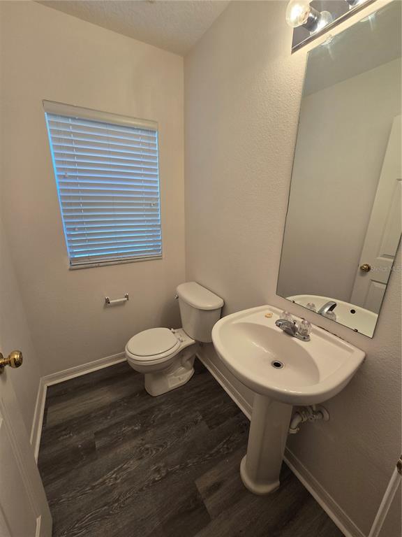 13126 Fennway Ridge Drive Riverview, FL 33579 - Photo 6 of 10 a bathroom with a sink a toilet and a mirror