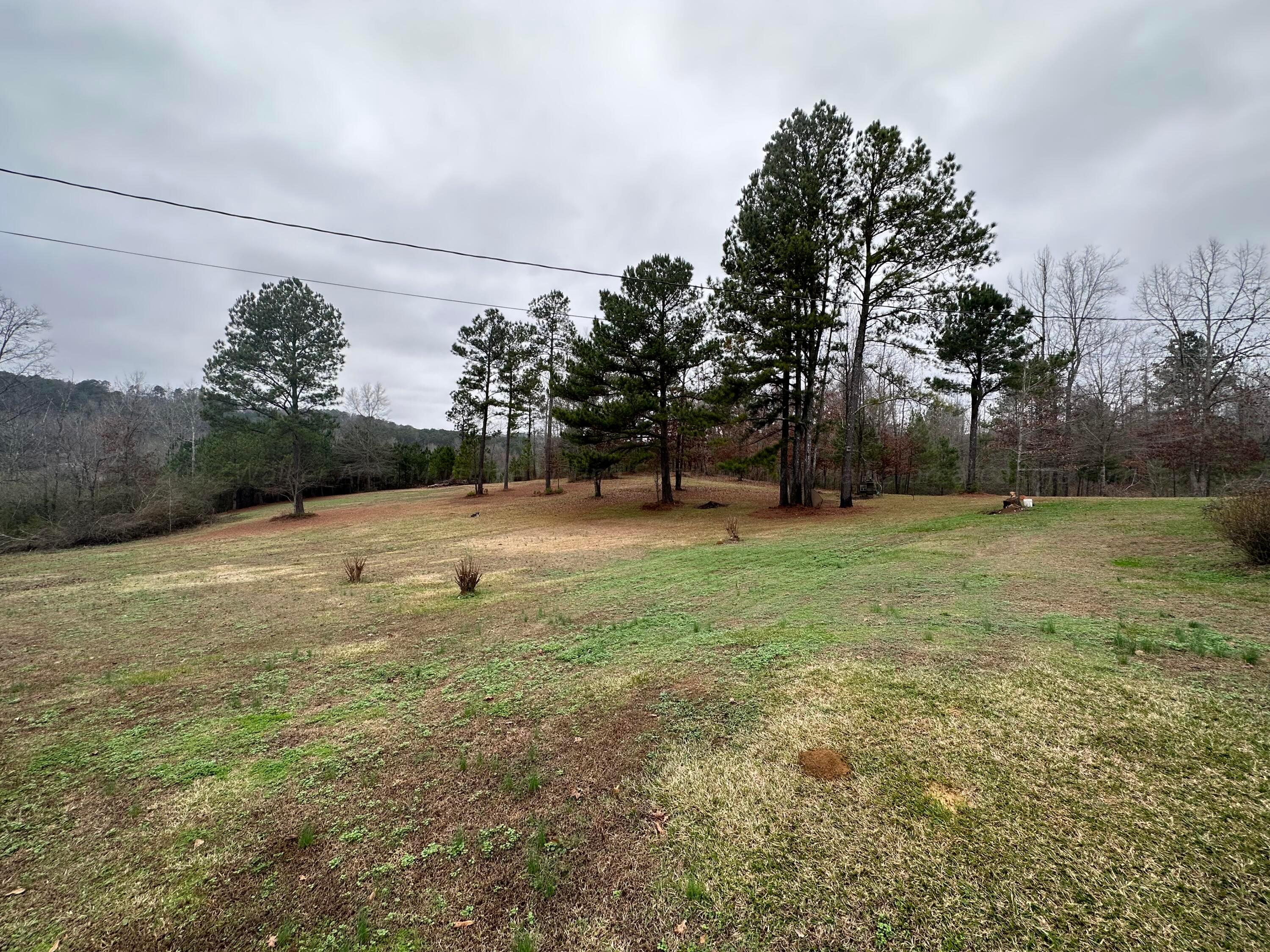 173 Barton Chapel Loop Road Cordova, AL 35550 - Photo 20 of 23 Gallery Image 20