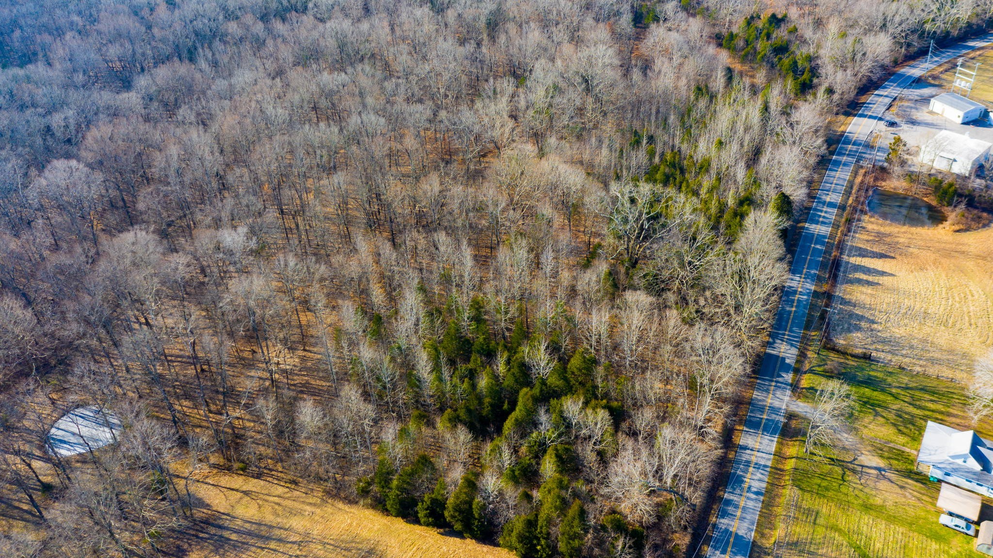 a view of a yard