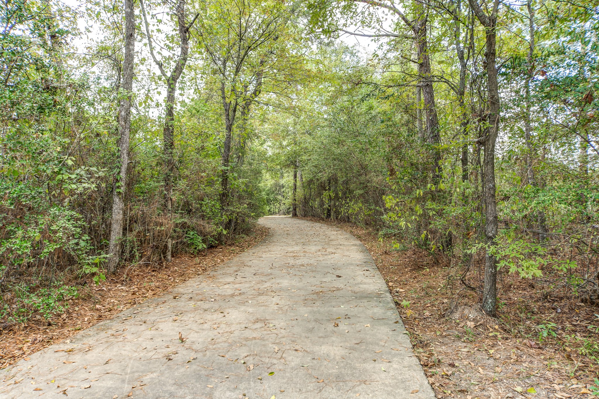 3126 Soaring Pines Trail Conroe, TX 77301 - Photo 29 of 30