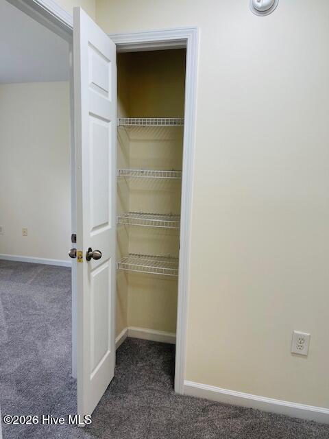 312 Comanche Trail Havelock, NC 28532 - Photo 27 of 31 HALL CLOSET