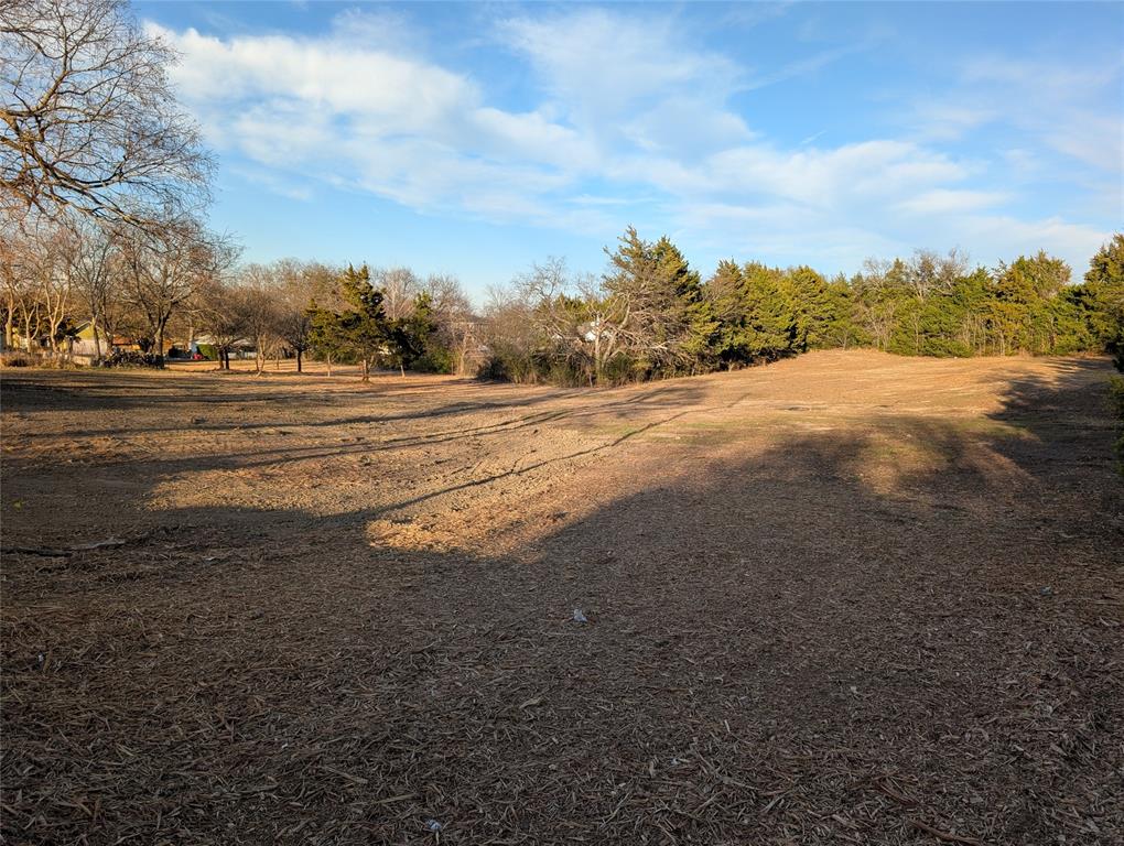 402 East Fulton Street Van Alstyne, TX 75495 - Photo 5 of 5