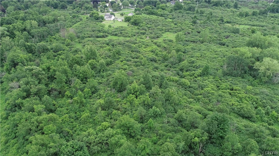 L26.1 Howlett Hill Road Syracuse, NY 13215 - Photo 12 of 12