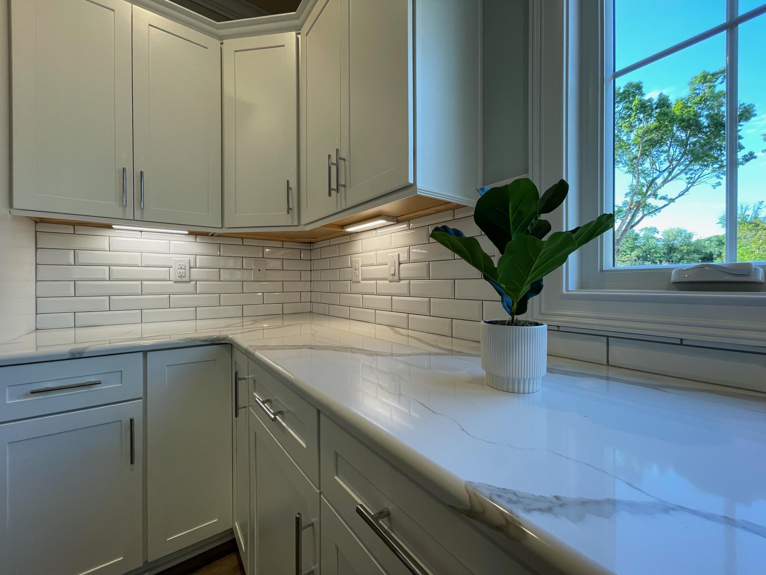 1675 Mountain View Road Vinton, VA 24179 - Photo 10 of 31 a kitchen with a sink and potted plant