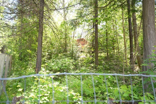 13376 Bug Creek Road Bigfork, MT 59911 - Photo 53 of 64 Gallery Image 53