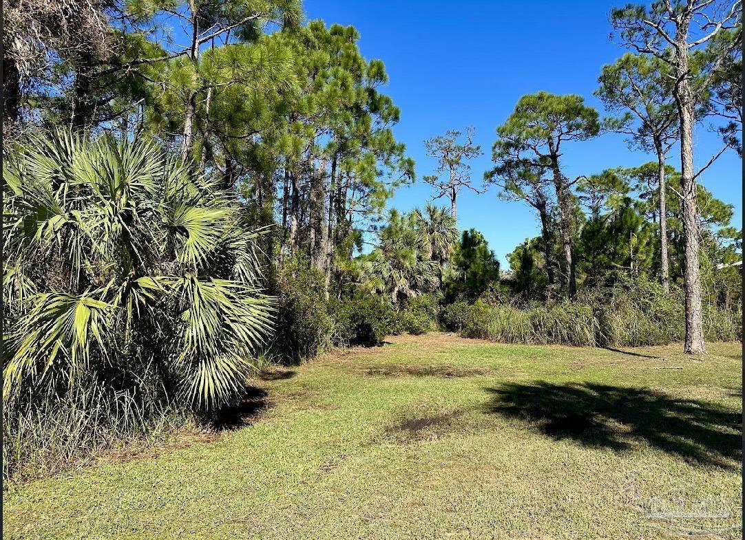 0 Cape San Blas Road Port St. Joe, FL 32456 - Photo 20 of 34 a view of a yard with plants