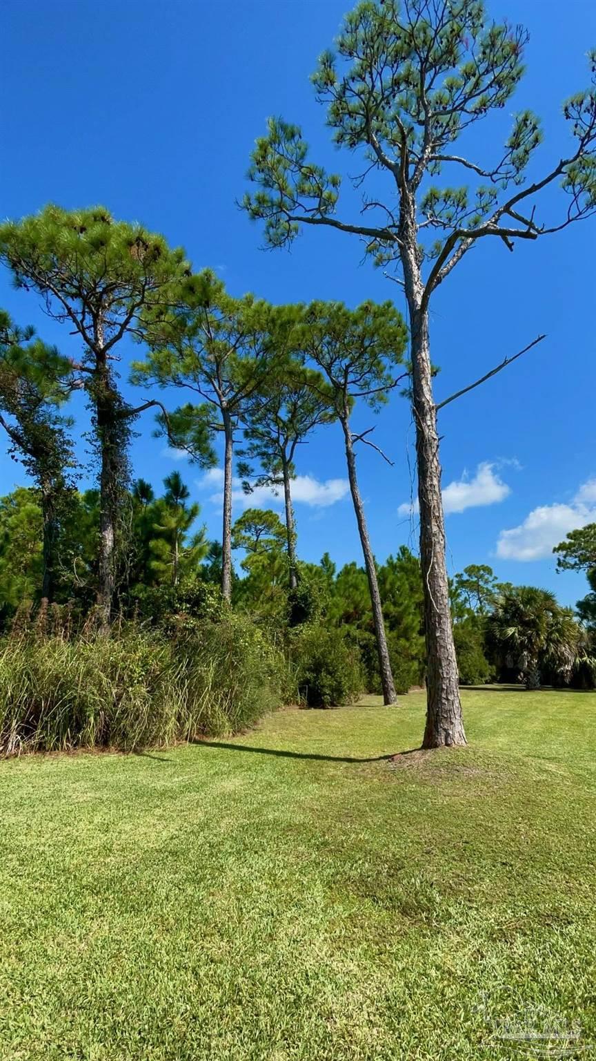 0 Cape San Blas Road Port St. Joe, FL 32456 - Photo 28 of 34 a view of a garden