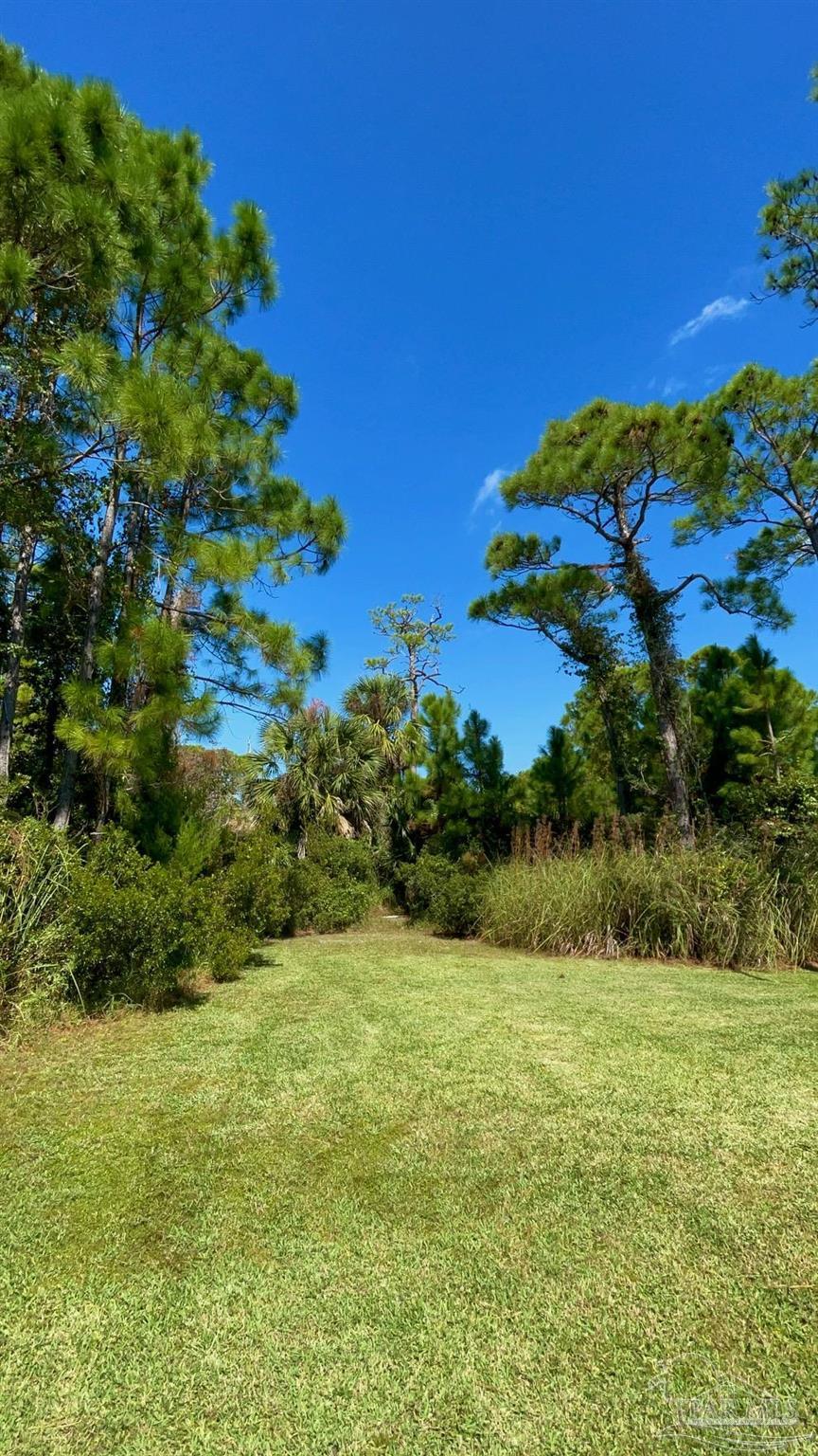 0 Cape San Blas Road Port St. Joe, FL 32456 - Photo 29 of 34 a view of a lake