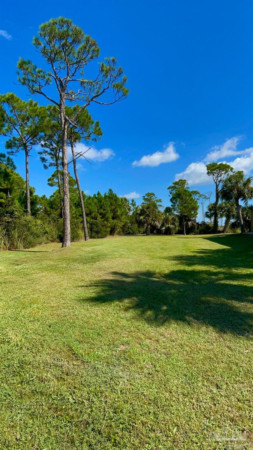 0 Cape San Blas Road Port St. Joe, FL 32456 - Photo 30 of 34 a view of a golf course with a lake