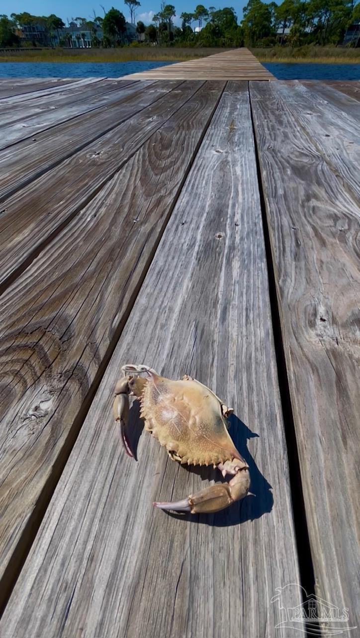 0 Cape San Blas Road Port St. Joe, FL 32456 - Photo 32 of 34 a view of a wooden floor