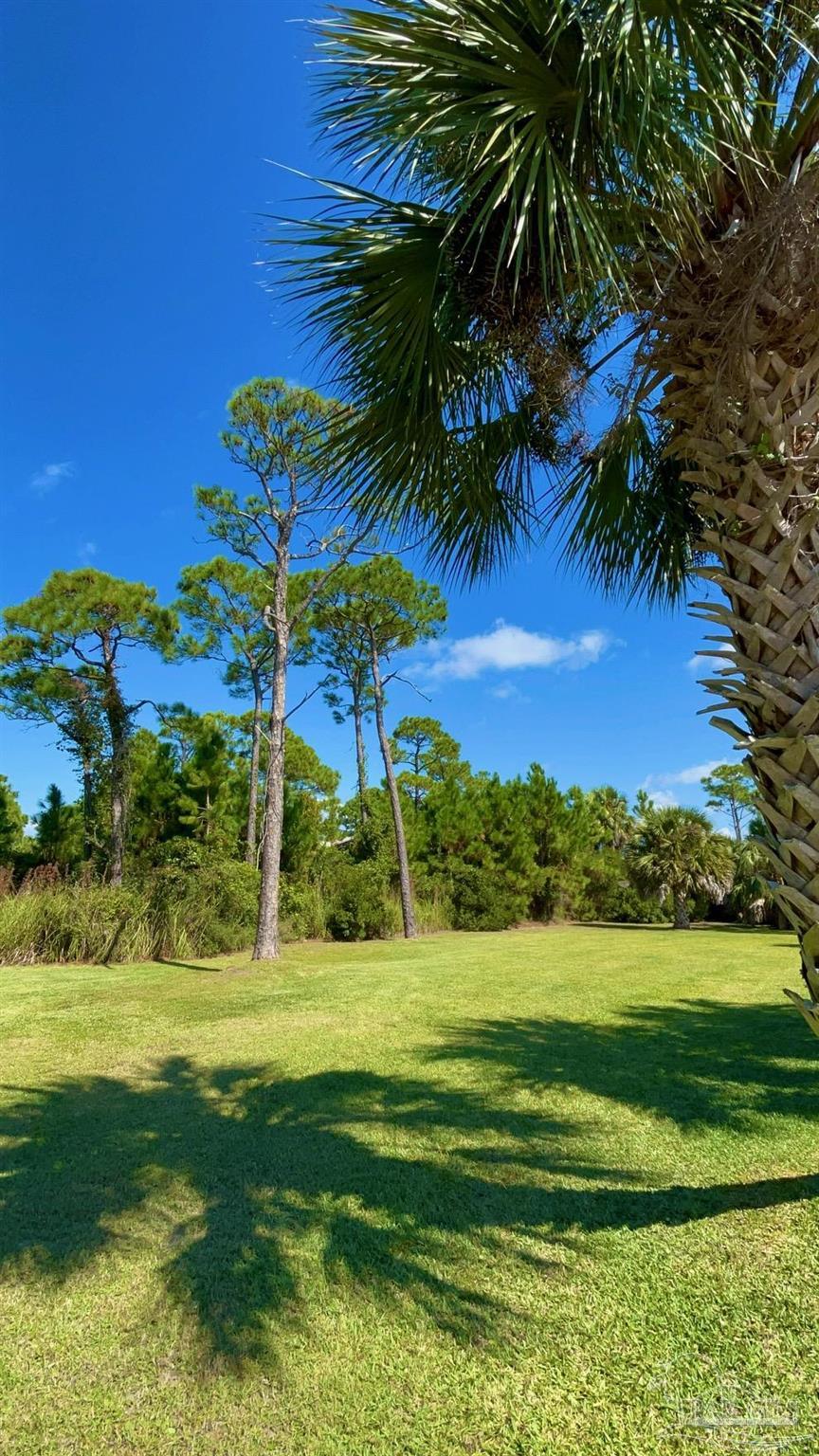 0 Cape San Blas Road Port St. Joe, FL 32456 - Photo 4 of 34 a view of a volley ball court