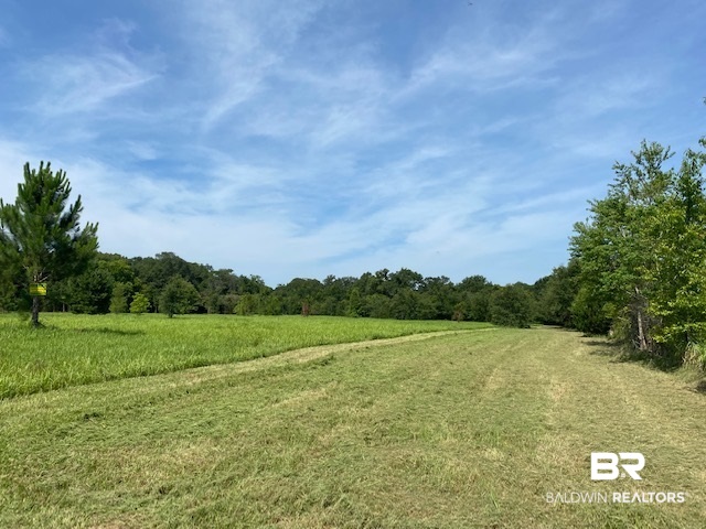 0 Beasley Road Foley, AL 36535 - Photo 9 of 29