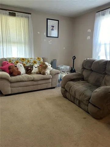 a living room with couches and painted walls