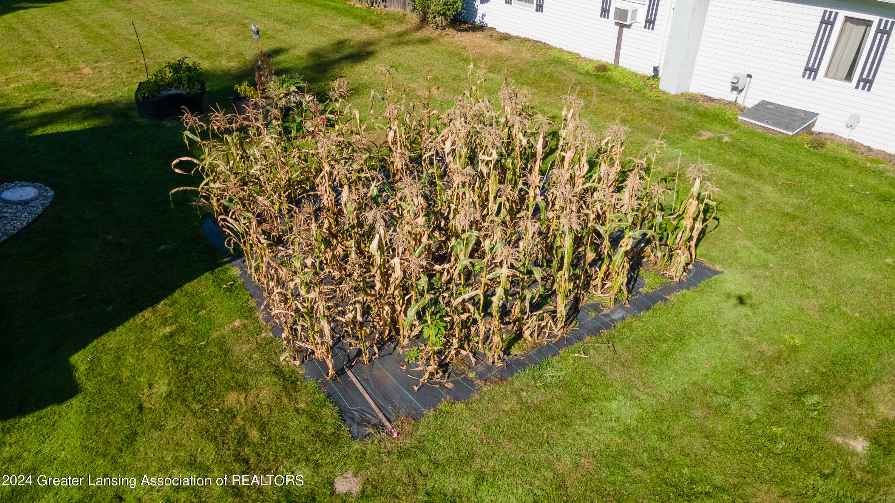 11711 Old Belding Road Northeast Belding, MI 48809 - Photo 30 of 33 29