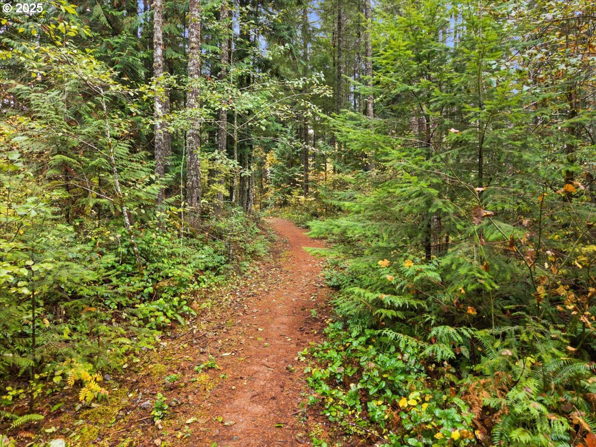 51720 Northwest Hayward Road Manning, OR 97125 - Photo 45 of 48