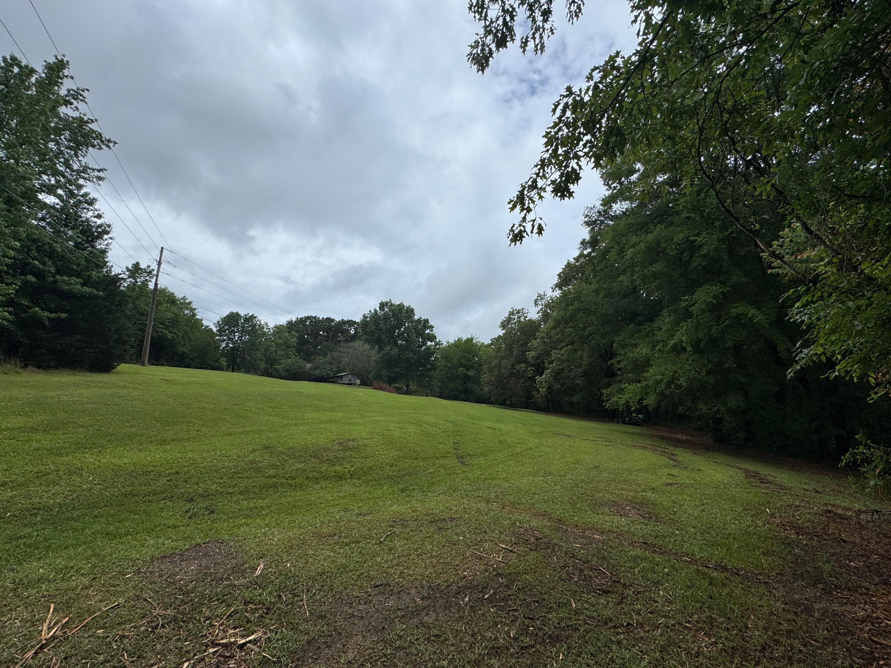 2535 Joe Wheeler Brown Road Fulton, MS 38843 - Photo 42 of 46 41 Right Side of Home Field