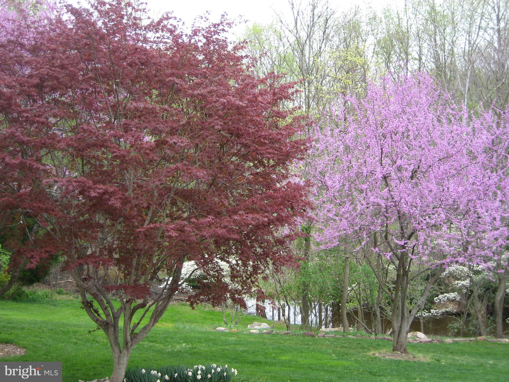 413 Seneca Road Great Falls, VA 22066 - Photo 40 of 45 Gallery Image 40