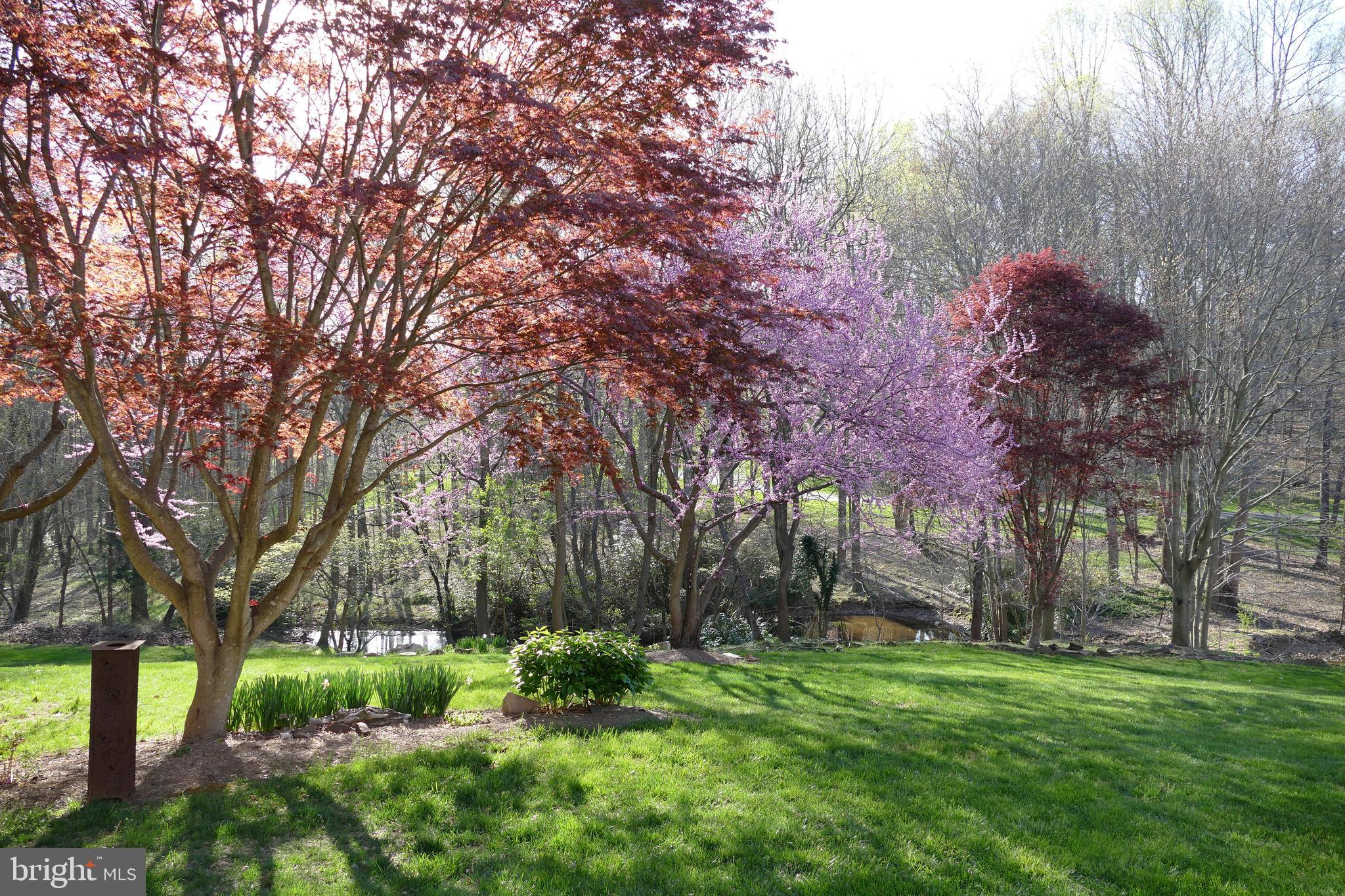 413 Seneca Road Great Falls, VA 22066 - Photo 43 of 45 Gallery Image 43