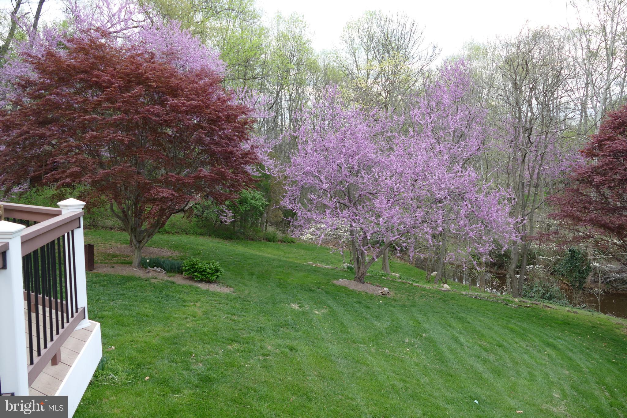 413 Seneca Road Great Falls, VA 22066 - Photo 44 of 45 Gallery Image 44