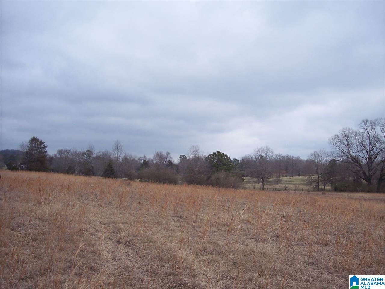 0 Big Oak Road Ohatchee, AL 36271 - Photo 1 of 7