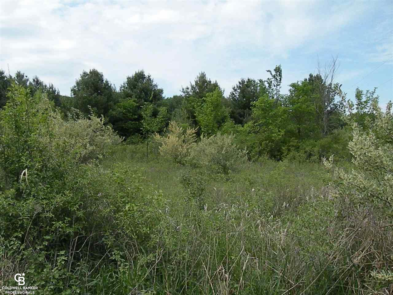 0 Ellsworth Road Columbus, MI 48063 - Photo 3 of 7
