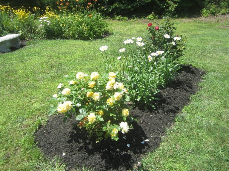 5 Cotuit Road Sandwich, MA 02563 - Photo 12 of 34 a view of flowers in a yard