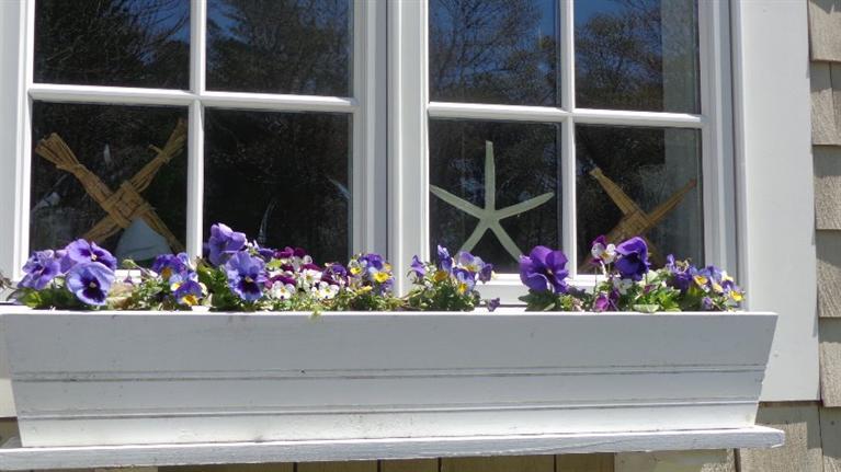 5 Cotuit Road Sandwich, MA 02563 - Photo 5 of 34 a view of a flowers in a window