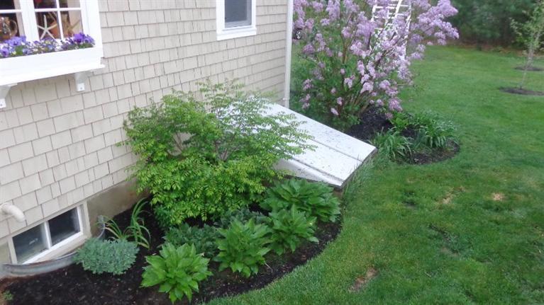 5 Cotuit Road Sandwich, MA 02563 - Photo 6 of 34 a view of a yard in front of house