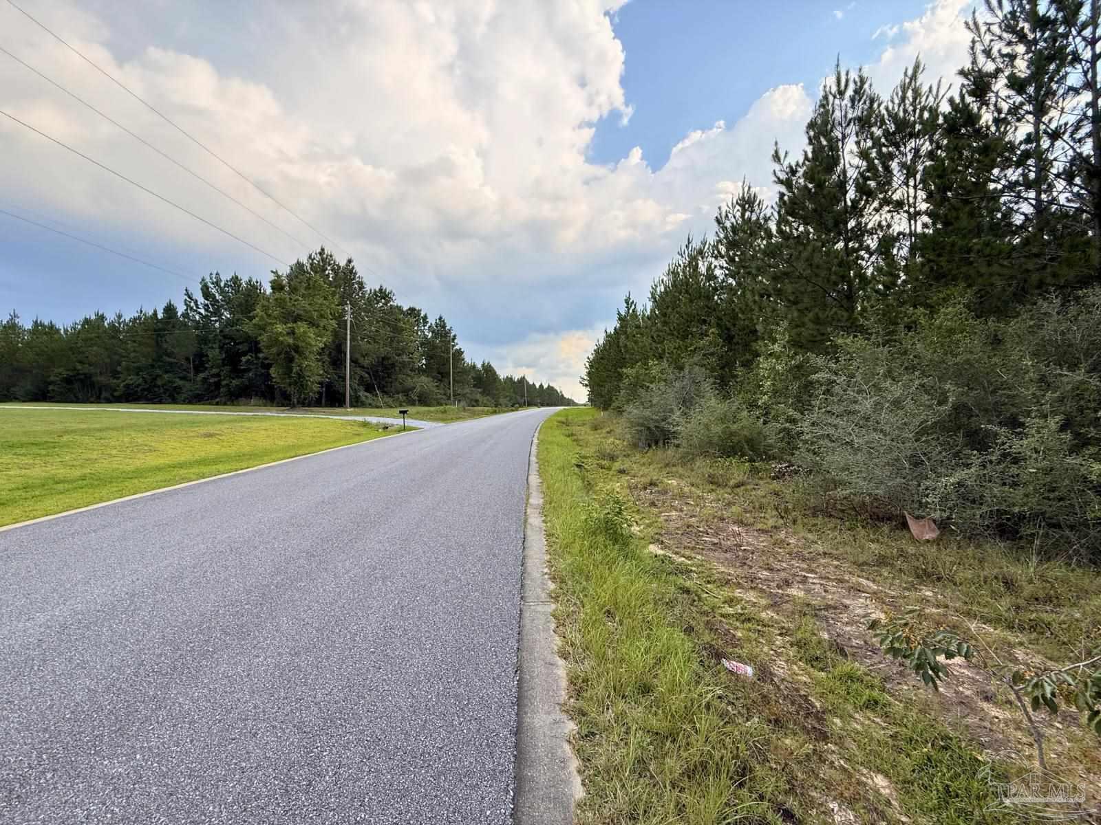 Lot 23 Buffalo Ridge Road Pace, FL 32571 - Photo 5 of 10 a view of a field with an trees in the background