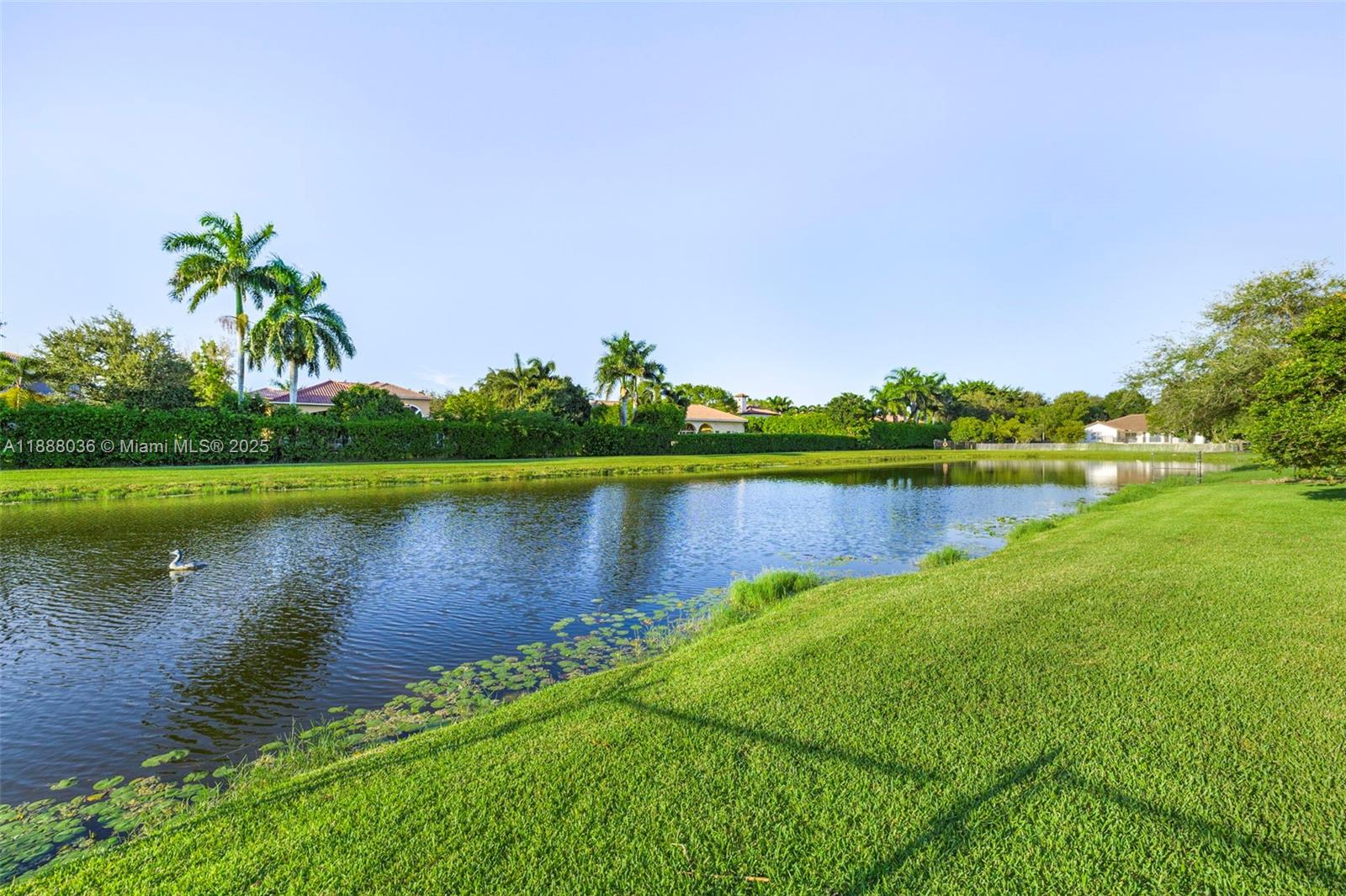 12555 Southwest 34th Place Davie, FL 33330 - Photo 23 of 73 a view of a lake with a big yard and large trees